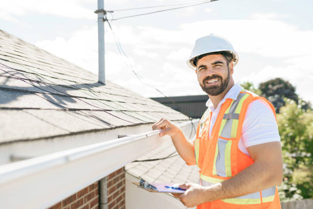 Best Roof Gutter Cleaning  in Pho, IL